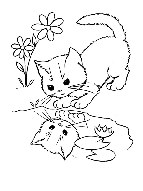coloriage chaton devant son reflet